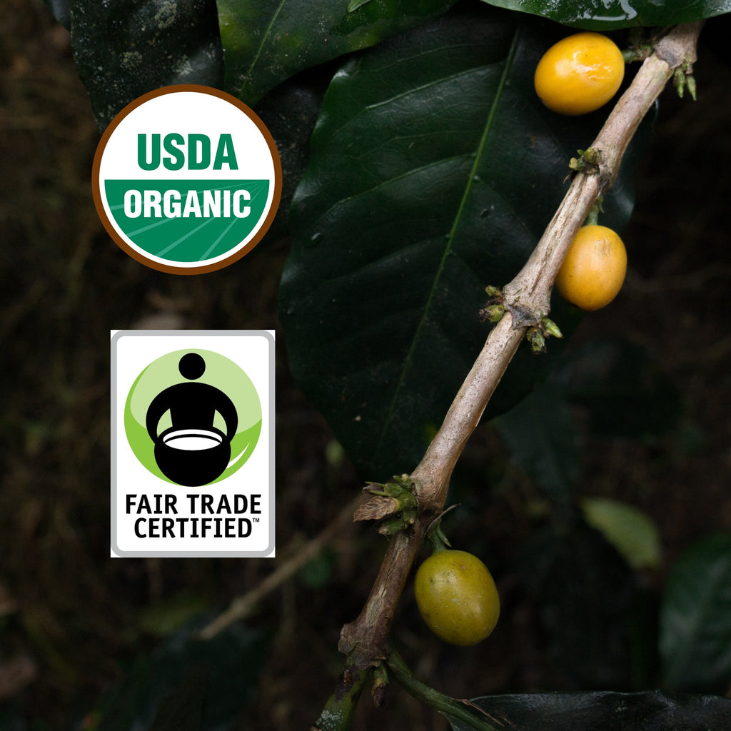 Our coffee is USDA Organic certified, and fair trade certified.